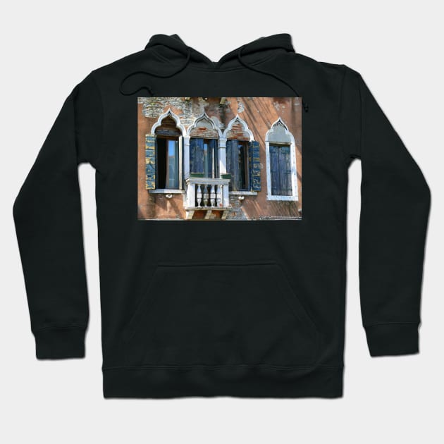 Venice Hoodie by terezadelpilar